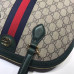 gucci-ophidia-bag-12