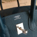 hermes-birkin-17