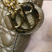 lady-dior-117