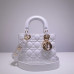 lady-dior-133