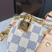 louis-vuitton-speedy-25-replica-bag-11